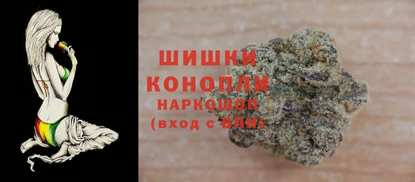 мдпв Киреевск