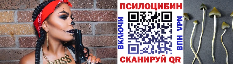 Купить  Звенигово  Псилоцибиновые грибы GOLDEN TEACHER 